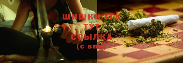 крисы Баксан