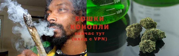 крисы Баксан