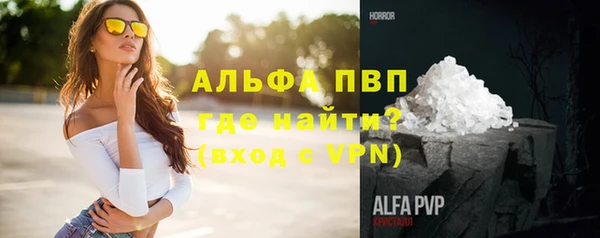 крисы Баксан