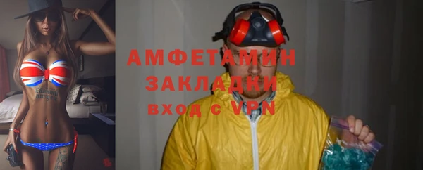 крисы Баксан