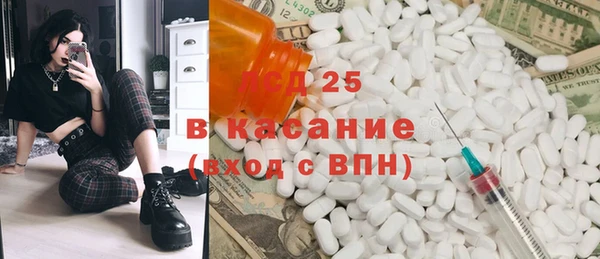 крисы Баксан