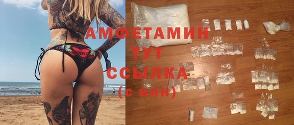 крисы Баксан